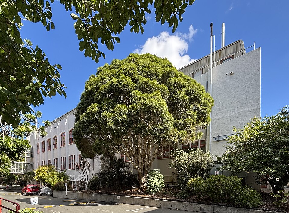 University of Auckland 학교 건물 외관